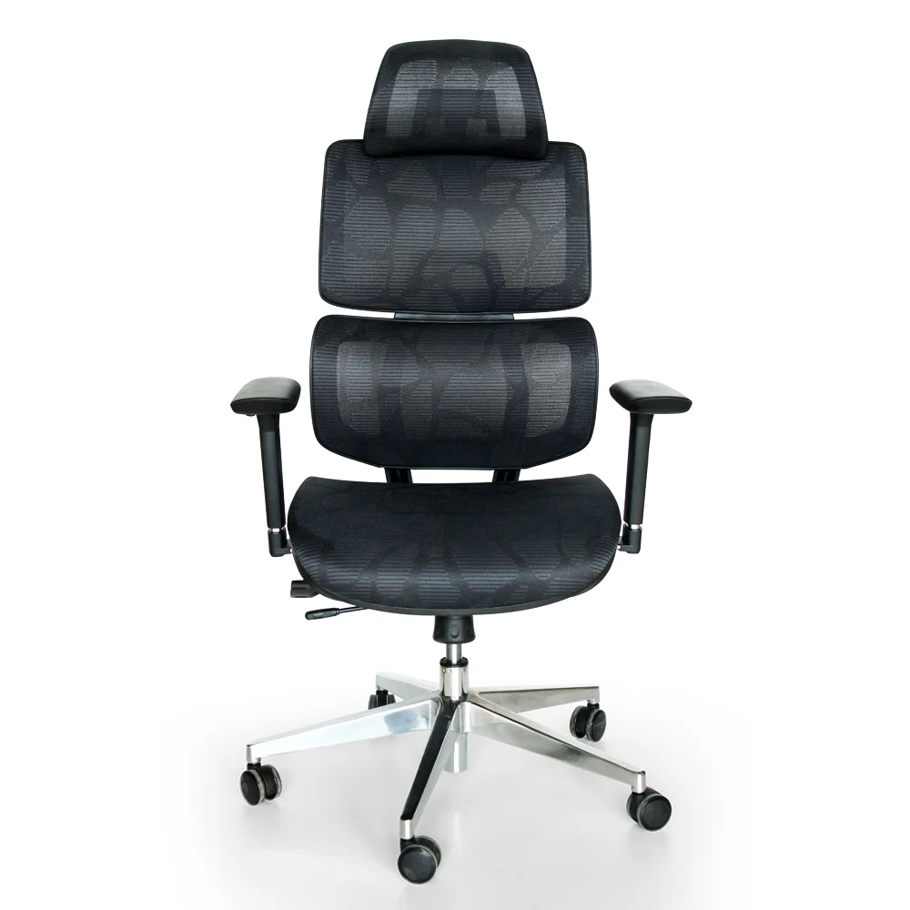 Roy Ergonomic Chair