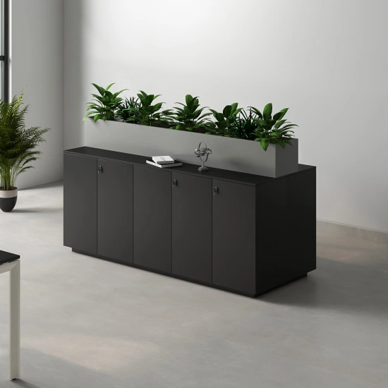 Lara Low Height Cabinet