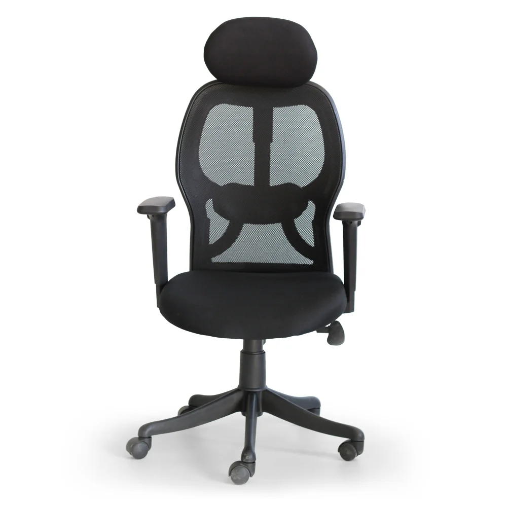 Mason Ergonomic Chair